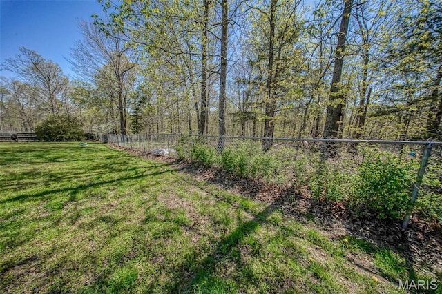 19580 Lyle Ln, Waynesville, MO 65583 - view of yard