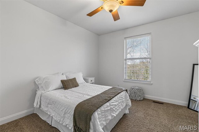 101 Brighton Pl, Festus, MO 63028