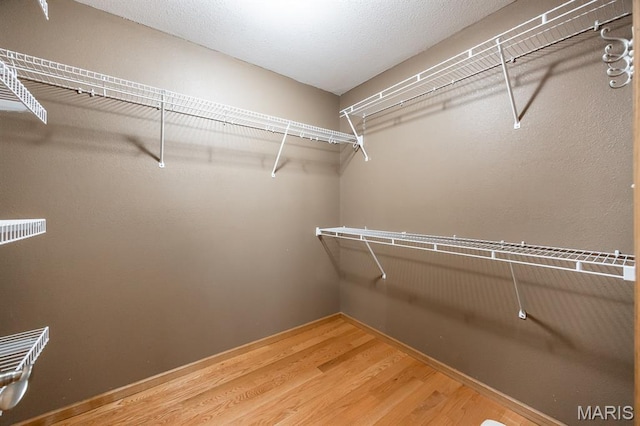92 Rinderer Rd, Trenton, IL 62293 - spacious closet with wood finished floors