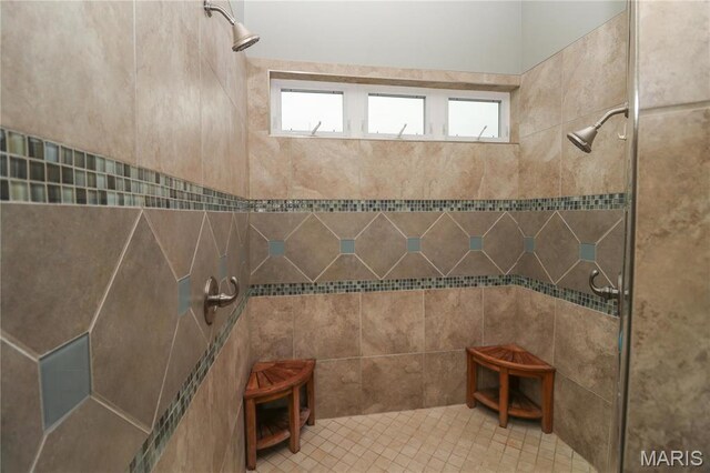616 W Capri Dr, Bonne Terre, MO 63628 - bathroom featuring tiled shower