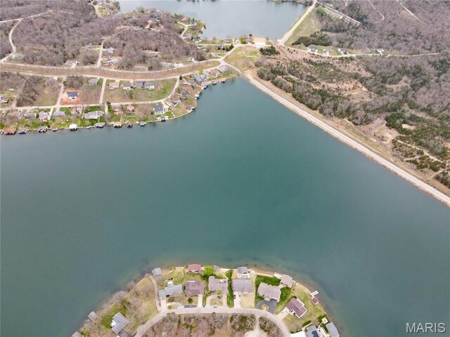 616 W Capri Dr, Bonne Terre, MO 63628 - view of property location featuring a nearby body of water