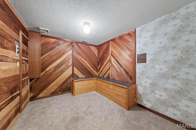 4044 Locke Ave, Bridgeton, MO 63044 - detailed view of carpet, a textured ceiling, wood walls, and wallpapered walls