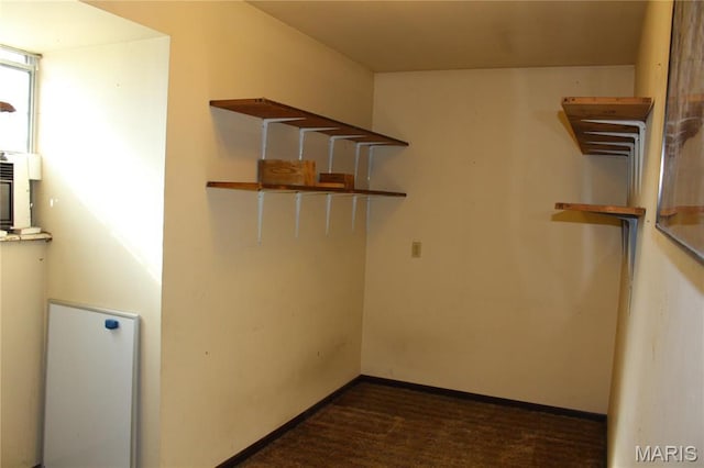walk in closet with dark carpet