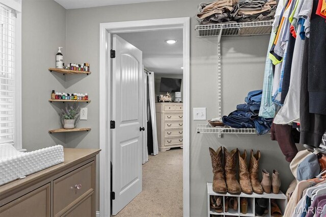 21510 Keyesport Rd, Keyesport, IL 62253 - walk in closet with light colored carpet