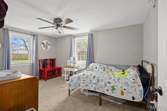 21510 Keyesport Rd, Keyesport, IL 62253 - bedroom with multiple windows, carpet, and ceiling fan