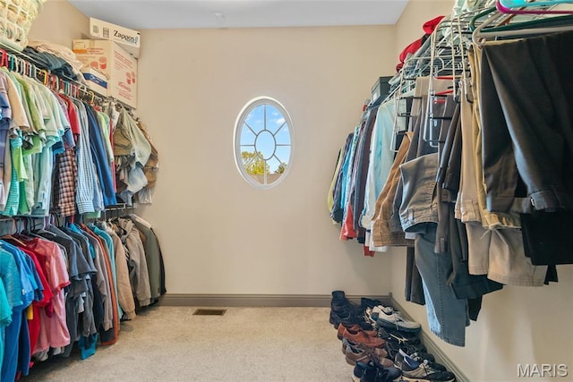 2017 Richview Dr, Saint Jacob, IL 62281 - spacious closet featuring carpet floors