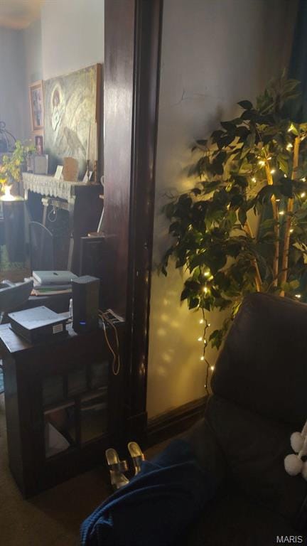3464 Montana St, Saint Louis, MO 63118 - view of carpeted office