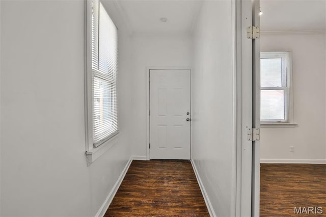 7613 Virginia Ave, Saint Louis, MO 63111 - hall with plenty of natural light, wood finished floors, ornamental molding, and baseboards