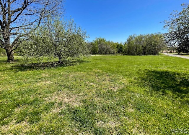 39988 Billy Blvd, Campbell, MO 63933 - view of grassy yard