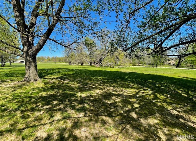 39988 Billy Blvd, Campbell, MO 63933 - view of grassy yard