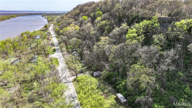 798 N Broadway, Kampsville, IL 62053 - aerial view of a large body of water and a forest