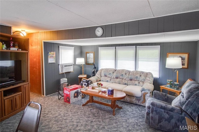 798 N Broadway, Kampsville, IL 62053 - living area featuring carpet flooring, cooling unit, and wood walls