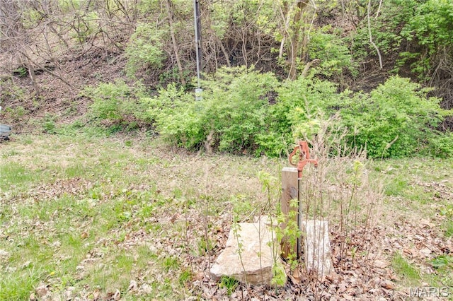 798 N Broadway, Kampsville, IL 62053 - view of undeveloped land