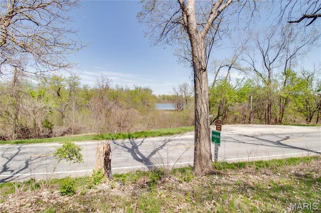 798 N Broadway, Kampsville, IL 62053 - view of asphalt street