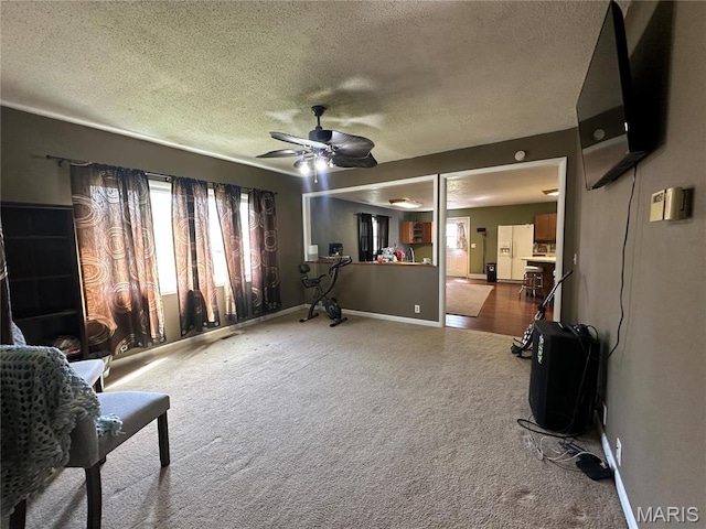 300 W 5th, New London, MO 63459 - living area with carpet floors, ceiling fan, a textured ceiling, and baseboards