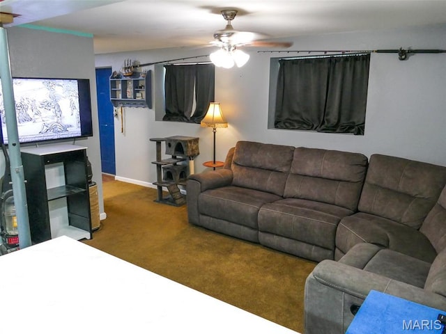 214 Mont Rouge Dr, Bonne Terre, MO 63628 - photo 18