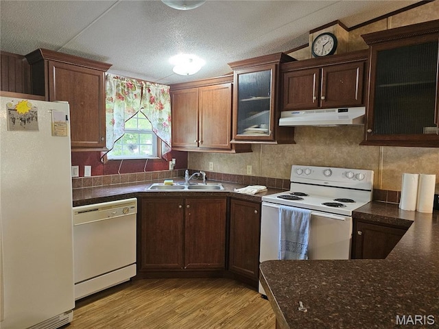 507 Ash St, Percy, IL 62272 - kitchen featuring white appliances, under cabinet range hood, a sink, light wood-style flooring, and glass insert cabinets