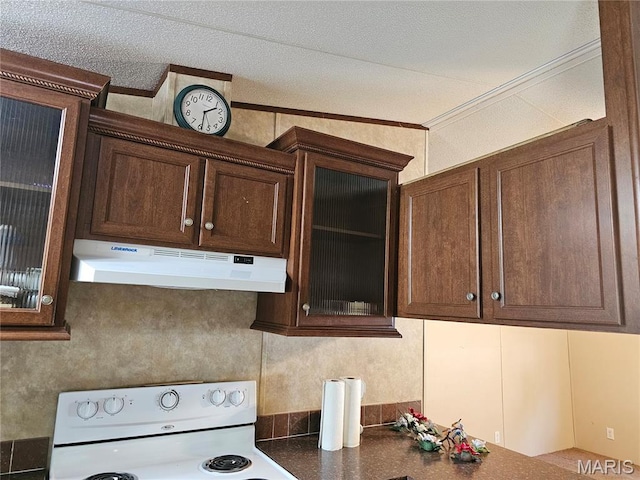 507 Ash St, Percy, IL 62272 - kitchen with under cabinet range hood, white range with electric cooktop, dark brown cabinetry, crown molding, and glass insert cabinets