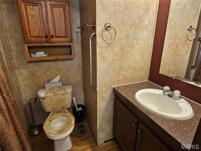 507 Ash St, Percy, IL 62272 - bathroom with toilet, wood finished floors, and vanity