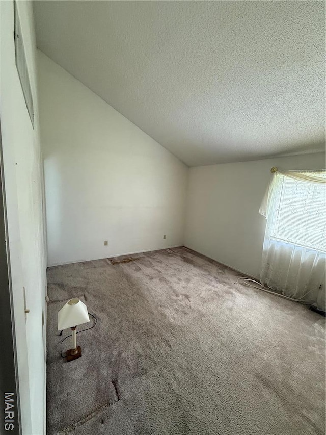 6919 Glenvale Ct, Florissant, MO 63033 - carpeted empty room with lofted ceiling and a textured ceiling