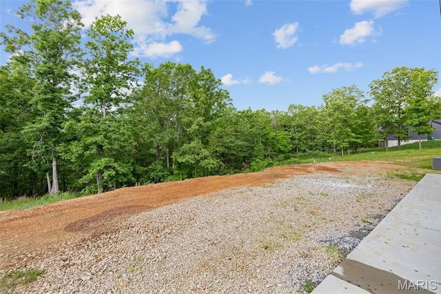 10102 Springer Dr, Bonne Terre, MO 63628 - view of yard