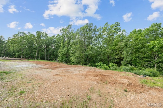 10102 Springer Dr, Bonne Terre, MO 63628 - view of wooded area