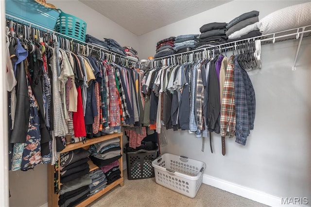 21438 Lancaster Ln, Waynesville, MO 65583 - walk in closet with carpet