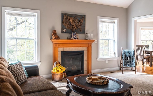 21438 Lancaster Ln, Waynesville, MO 65583 - carpeted living area featuring baseboards and a fireplace