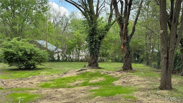 708 Hunt St, Leadwood, MO 63653