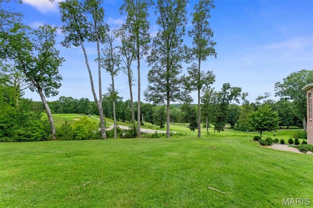 535 Overlook Dr, Union, MO 63084 - photo 75