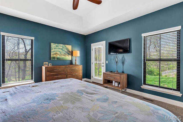 2509 Prairie Hollow Rd, Imperial, MO 63052 - bedroom with baseboards, access to exterior, and multiple windows