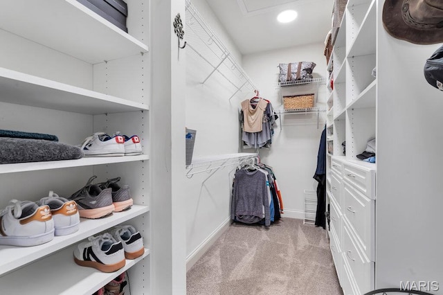 2509 Prairie Hollow Rd, Imperial, MO 63052 - walk in closet with light carpet