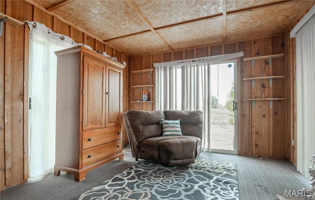 121 Ripley 142e-18, Doniphan, MO 63935 - sitting room with wood walls and carpet floors