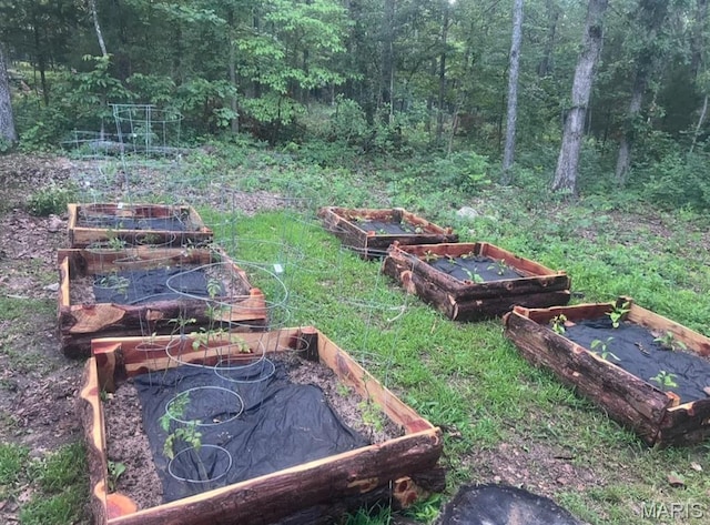 view of yard featuring a vegetable garden and a view of trees