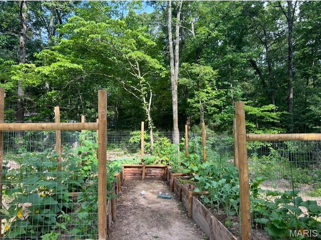 view of yard featuring a vegetable garden and fence