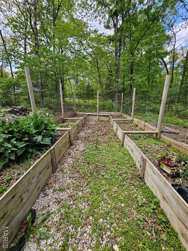 view of yard with a vegetable garden