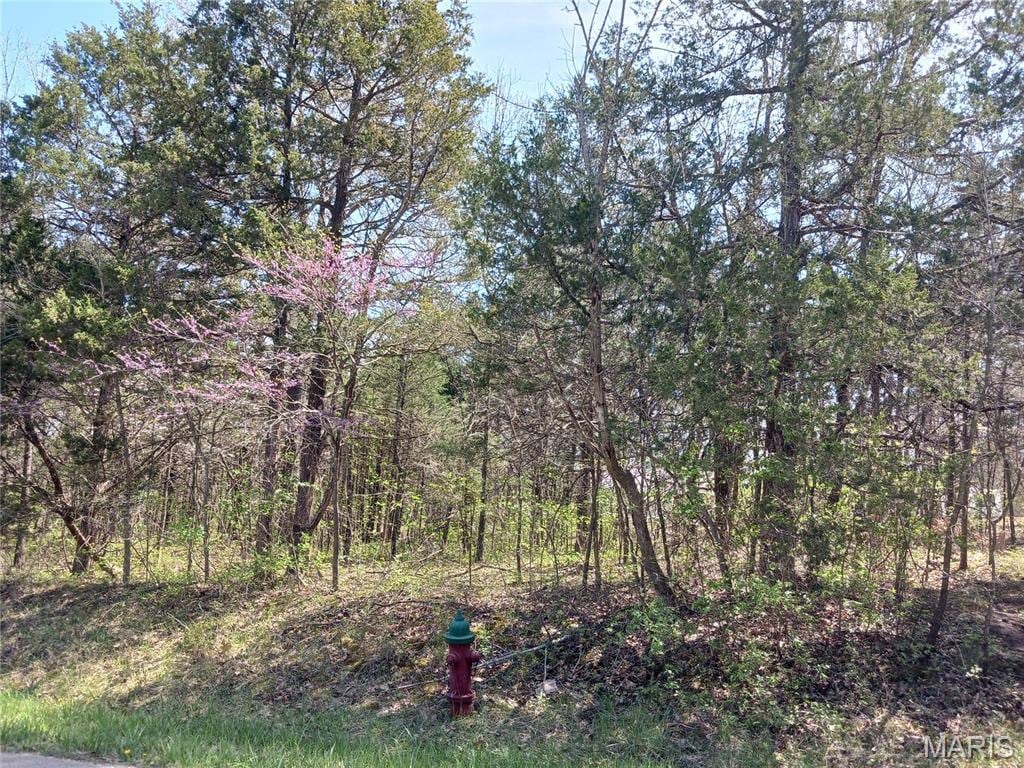 0 S Lafitte Dr, Bonne Terre, MO 63628