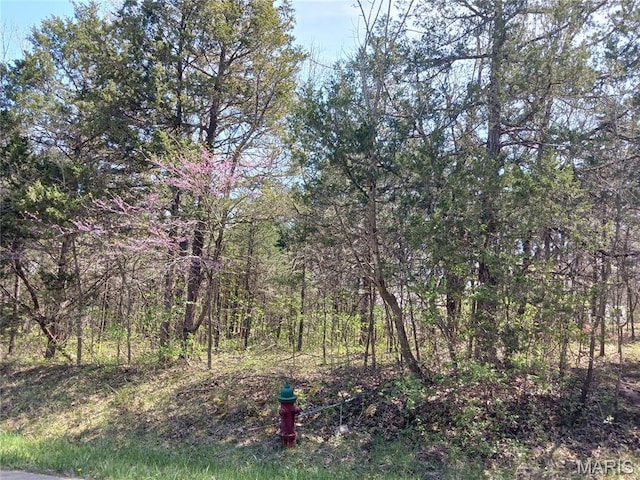 0 S Lafitte Dr, Bonne Terre, MO 63628