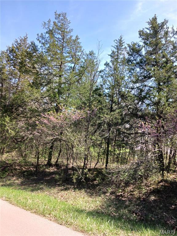 0 S Lafitte Dr, Bonne Terre, MO 63628