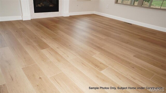 2028 Ravenel, Swansea, IL 62226 - detailed view of wood finished floors, baseboards, and a glass covered fireplace