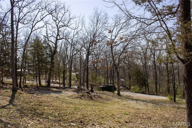 6141 Lamplighters Ln, French Village, MO 63036 - photo 3