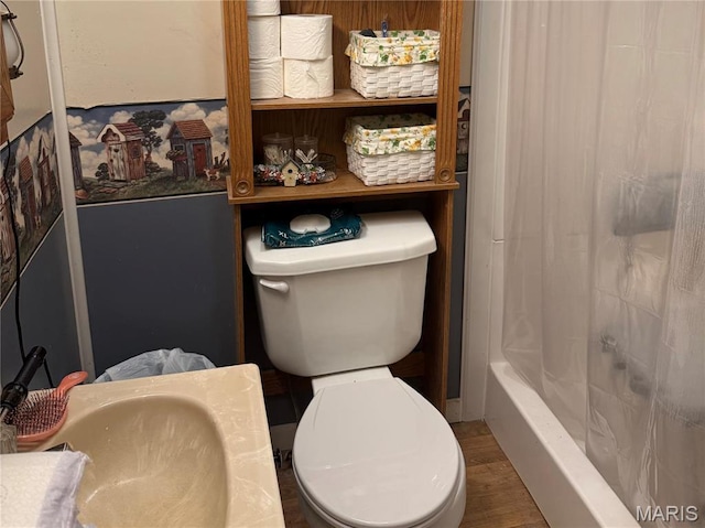 bathroom featuring toilet, a sink, and wood finished floors