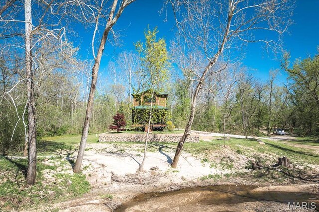 12715 State Route T, Newburg, MO 65550 - photo 5