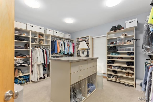 1406 W Adams, Kirkwood, MO 63122 - walk in closet with light colored carpet