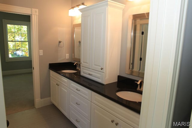 420 W Rose Hill, Saint Louis, MO 63122 - full bath with double vanity and baseboards