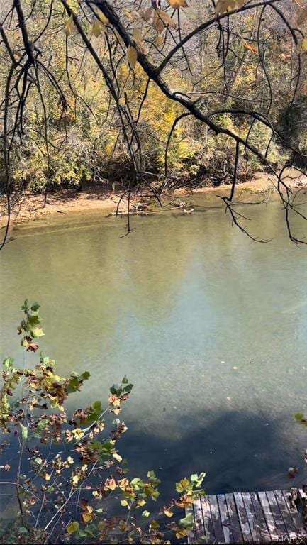 652 River Rd, Williamsville, MO 63967