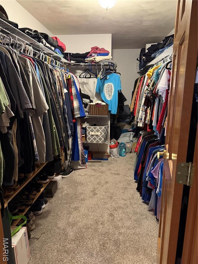 walk in closet featuring carpet floors
