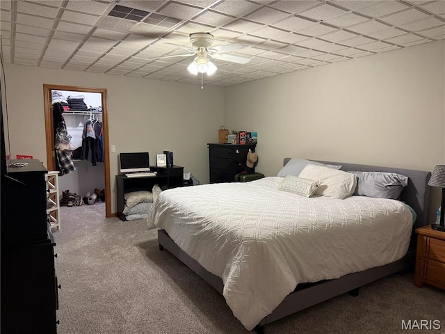 bedroom featuring carpet, a spacious closet, a paneled ceiling, and a closet