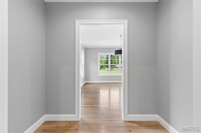 9870 E Concord Rd, Saint Louis, MO 63128 - hall with wood finished floors, baseboards, and crown molding