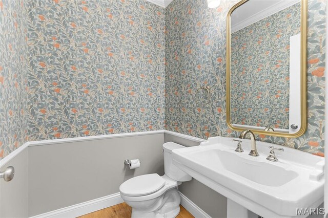 9870 E Concord Rd, Saint Louis, MO 63128 - bathroom featuring wallpapered walls, toilet, wood finished floors, a sink, and baseboards